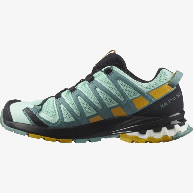 Tenis Para Trail Running Salomon Xa Pro 3d V8 Mujer Verde Menta | MX MFTA134